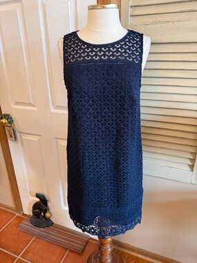 LOFT Navy Crochet Lace Dress
